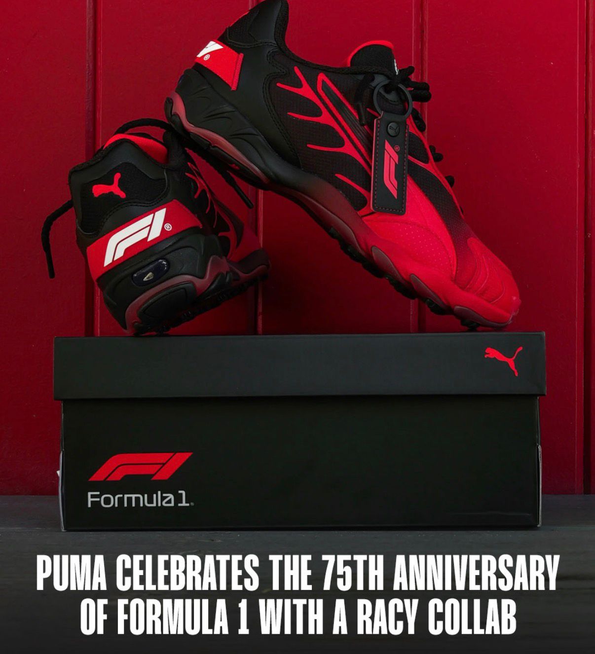 PUMA INHALE
