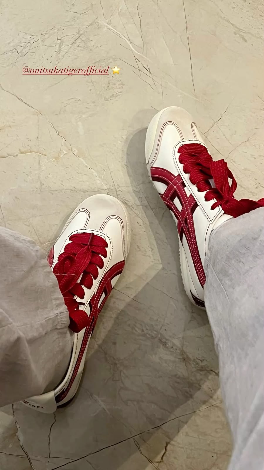 Onitsuka Tiger Mexico 66 Year Of The Snake Limited Edition