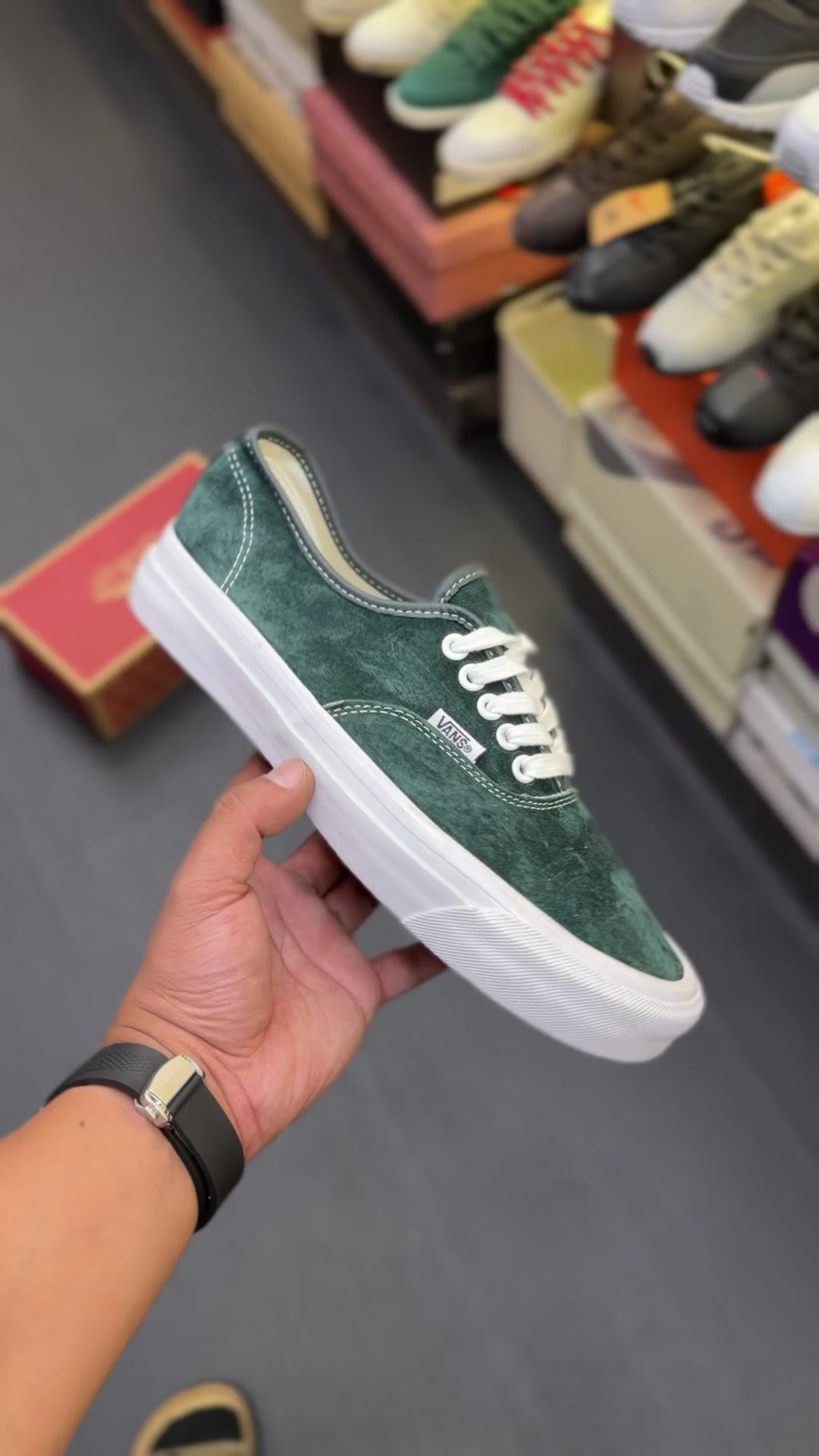 VANS AUTHENTIC